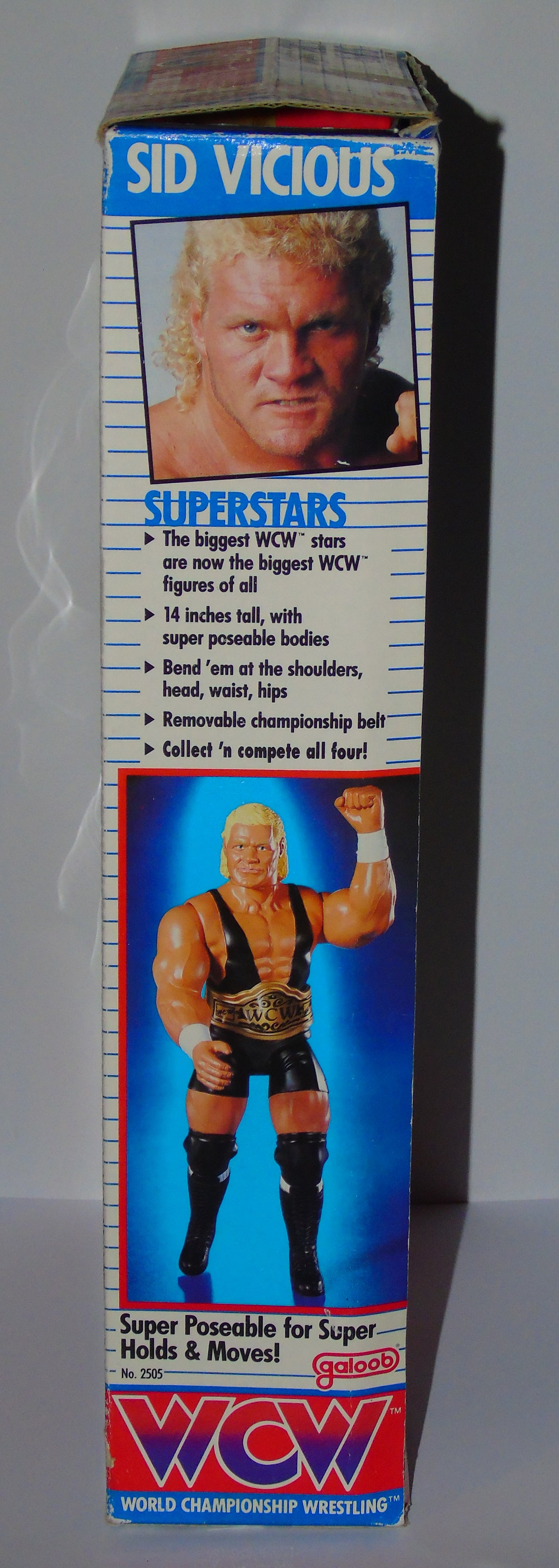 Sid Vicious WCW Galoob 14" Boxed Wrestling Figure