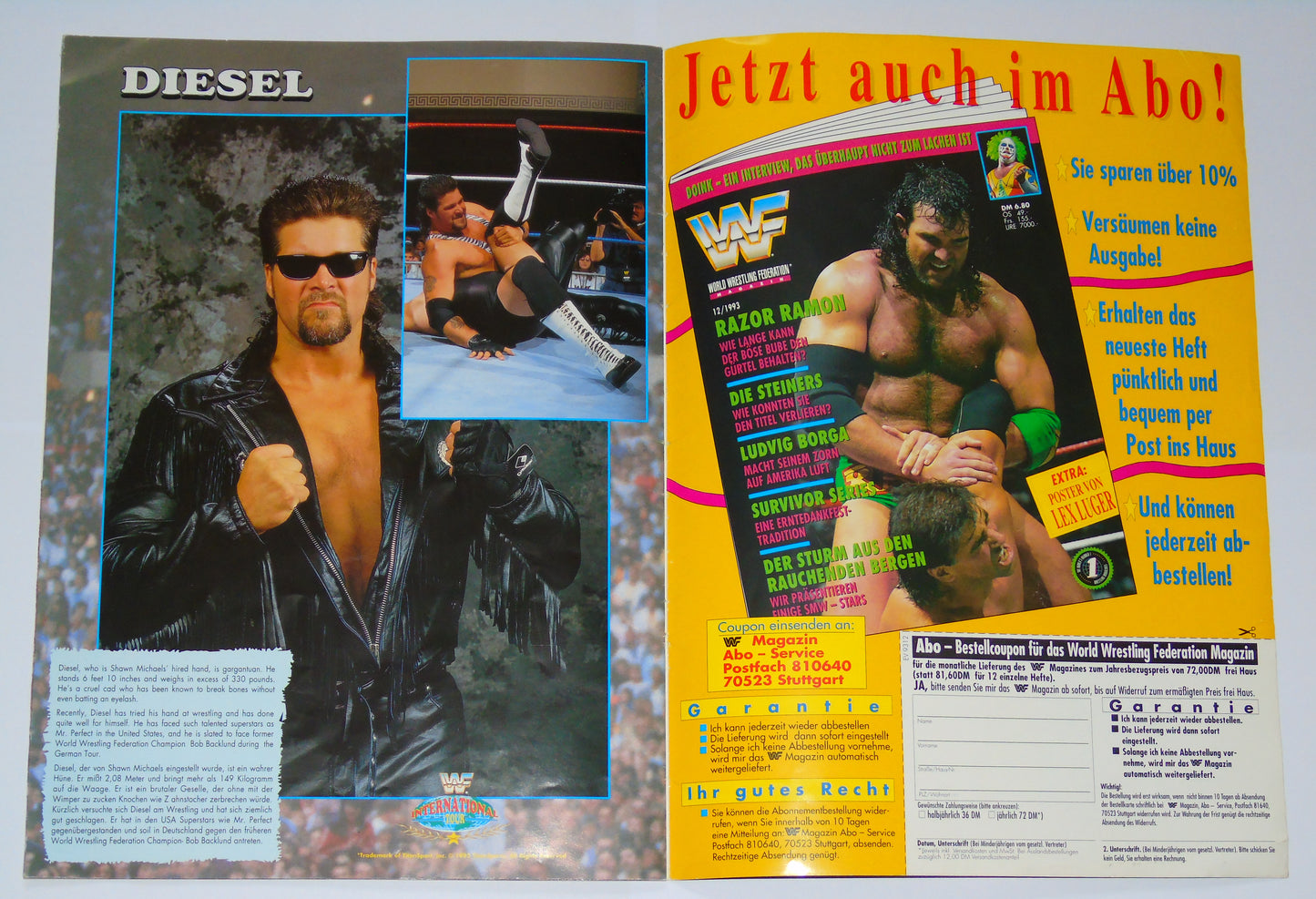 WWF Wrestling European International Tour 1993 Official Event Program