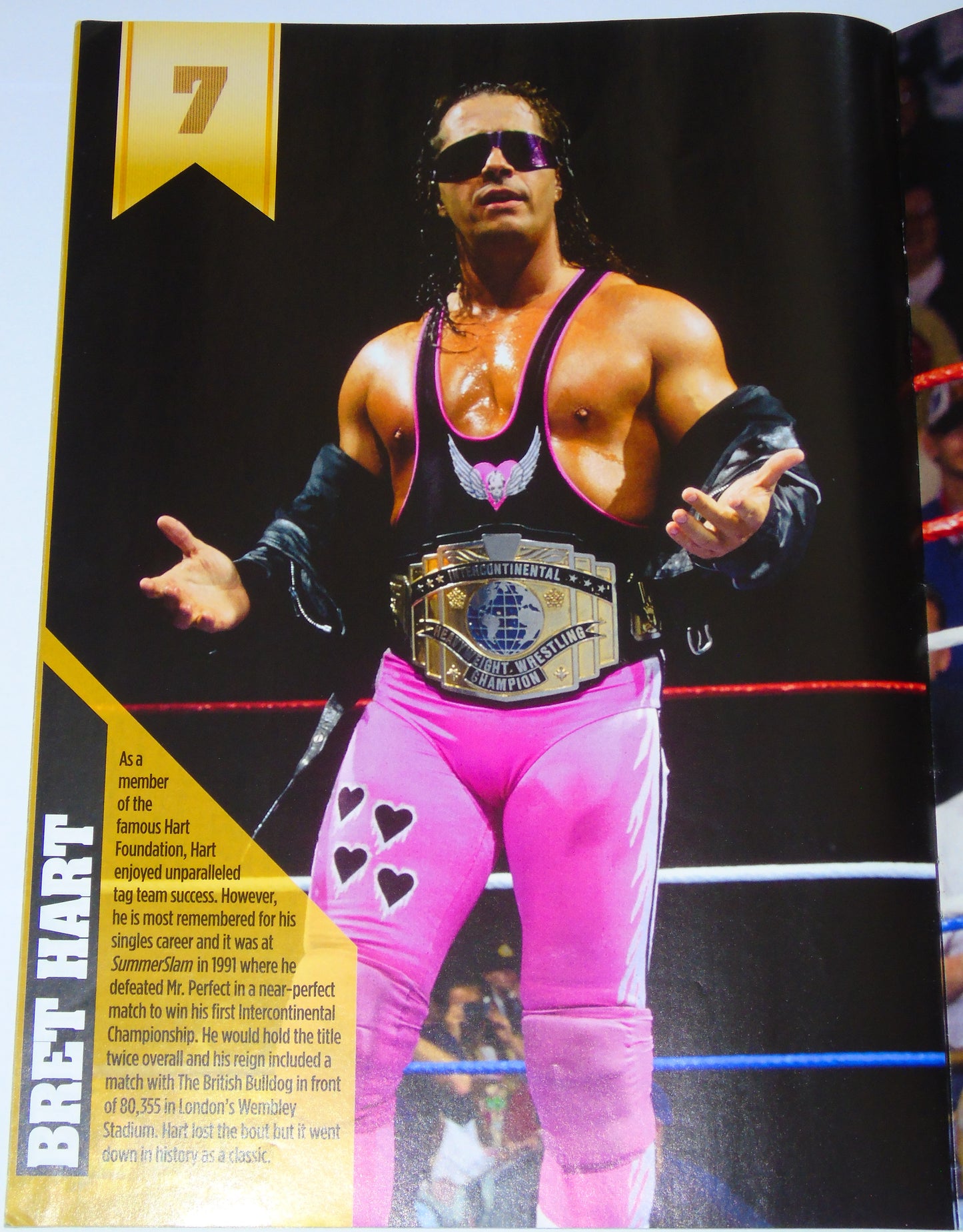 WWE Wrestling Magazine Supplement The 20 Greatest Ever IC Champions