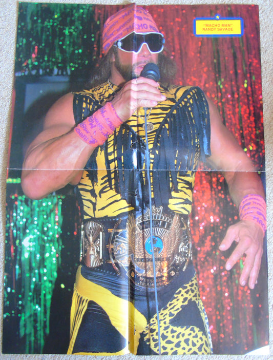 Wrestling All Stars 1989 Poster Special Magazine Issue 14