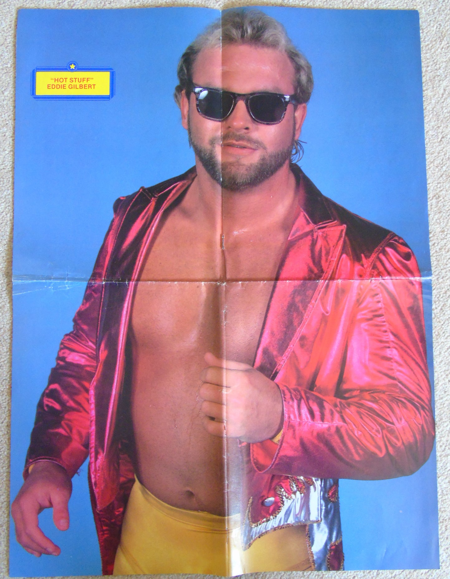 Wrestling All Stars 1989 Poster Special Magazine Issue 14