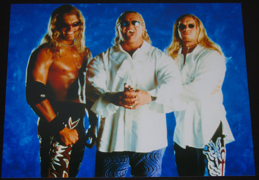 The Brood Edge Gangrel & Christian WWF WWE 8"x10" Print