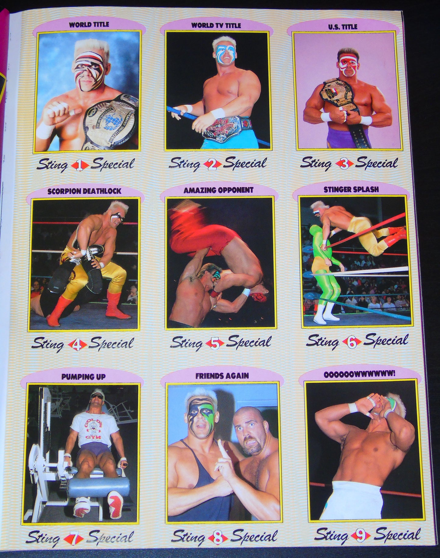 WCW Magazine Collector's Series Special #2 Sting Includes Trading Cards