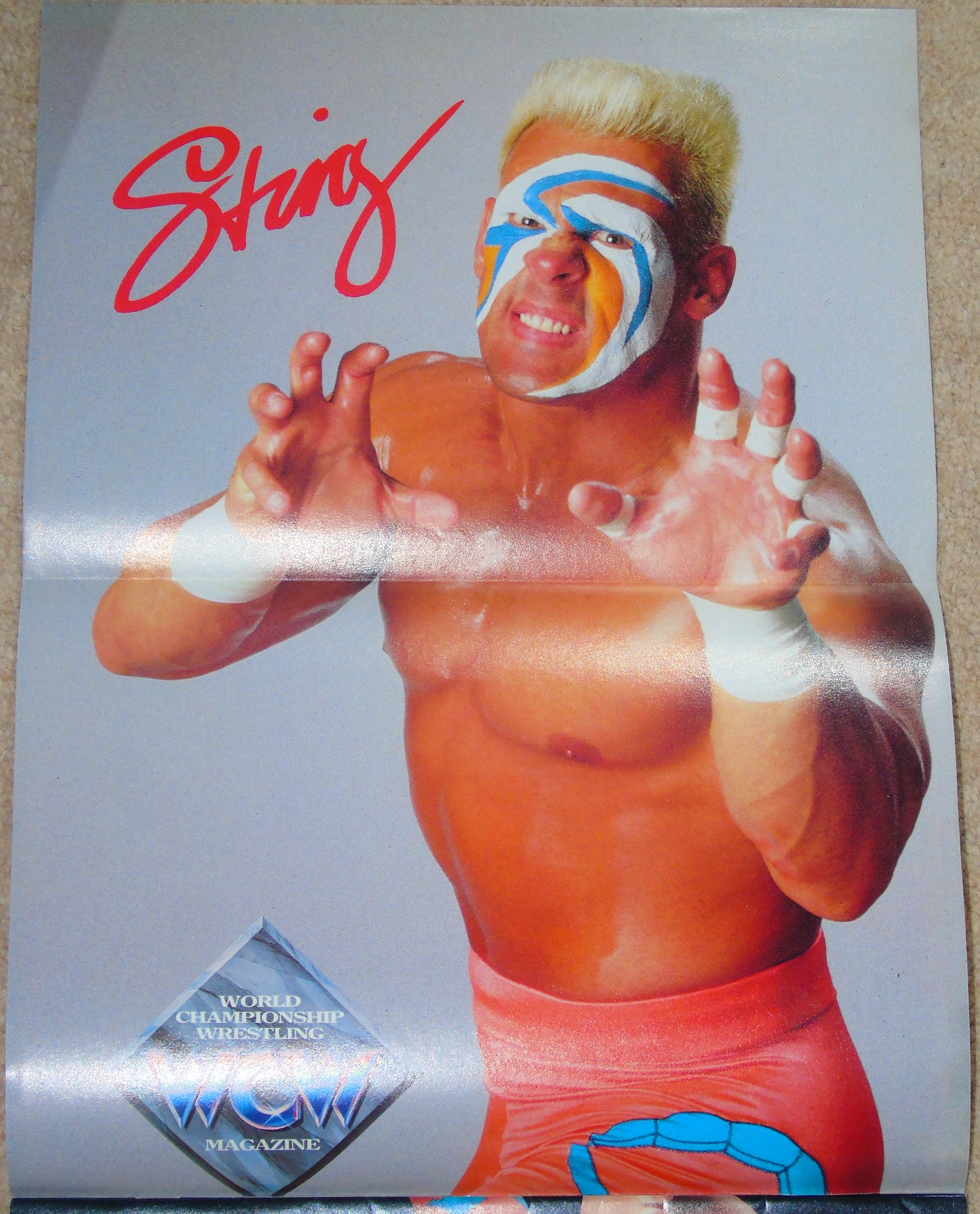 WCW Magazine Collector's Series Special #2 Sting Includes Trading Cards