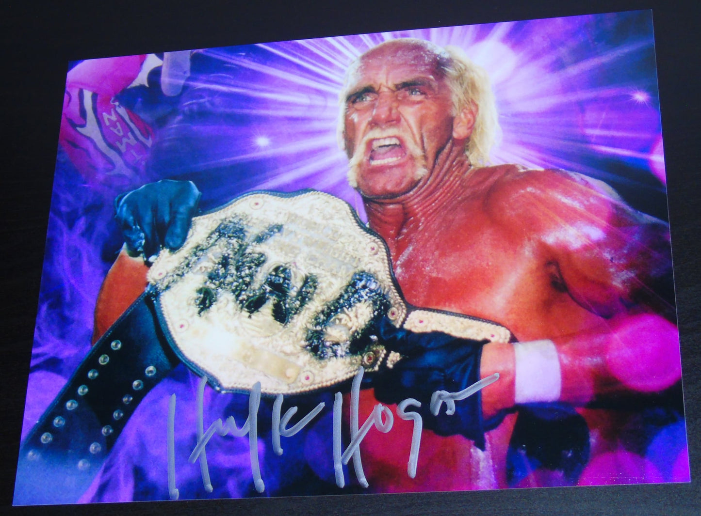 Hollywood Hulk Hogan Hand Signed nWo Wrestling 8"x10" Photo #1 of 10 LTD ED