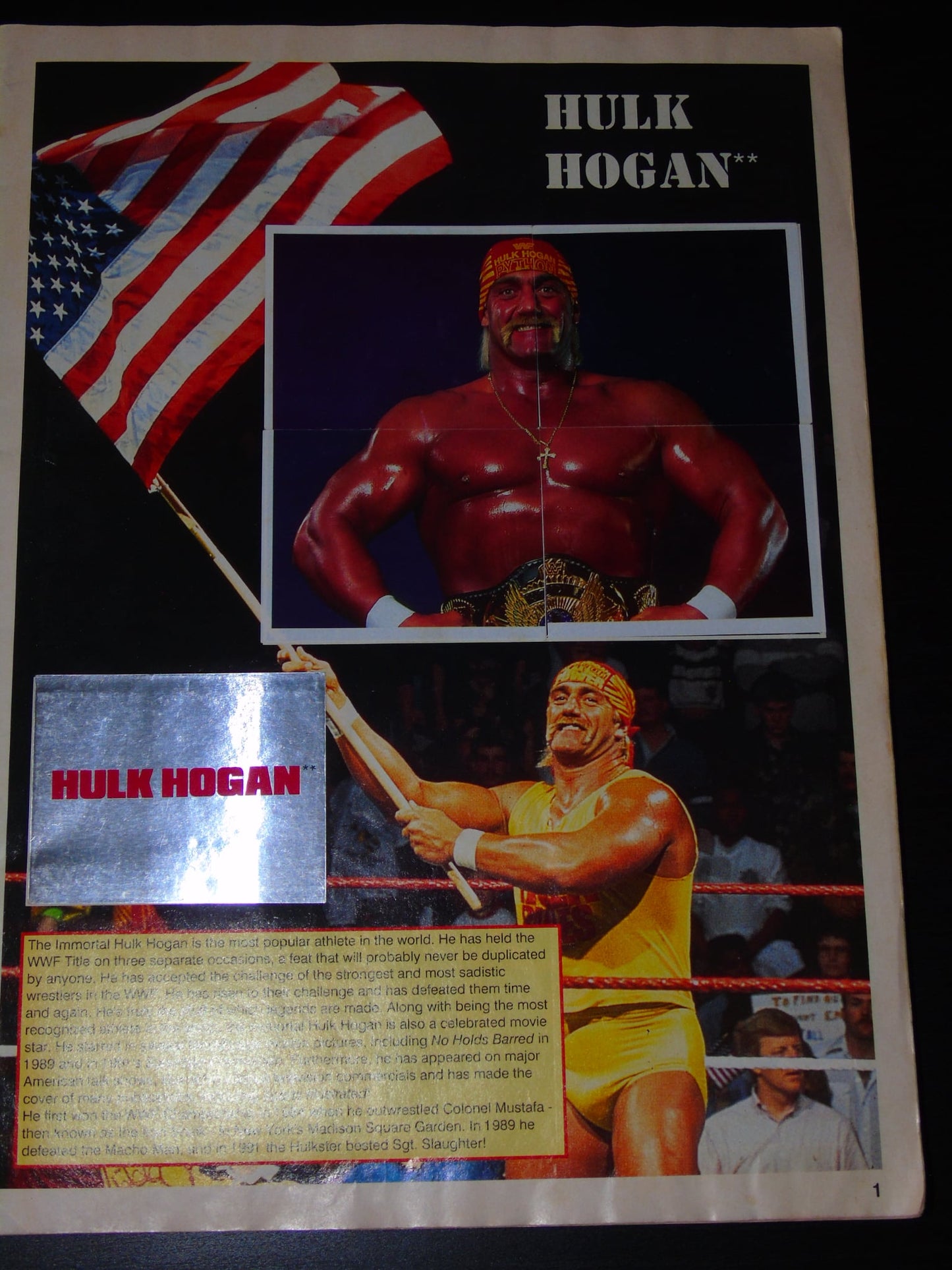 WWF Merlin Sticker Album 1991 Ccomplete