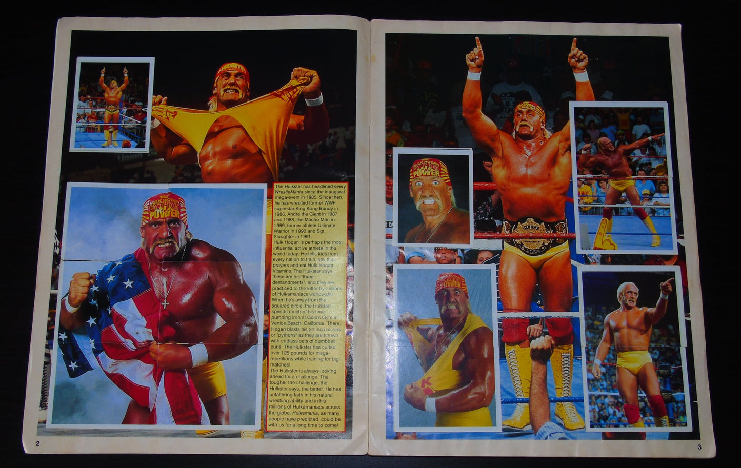 WWF Merlin Sticker Album 1991 Ccomplete
