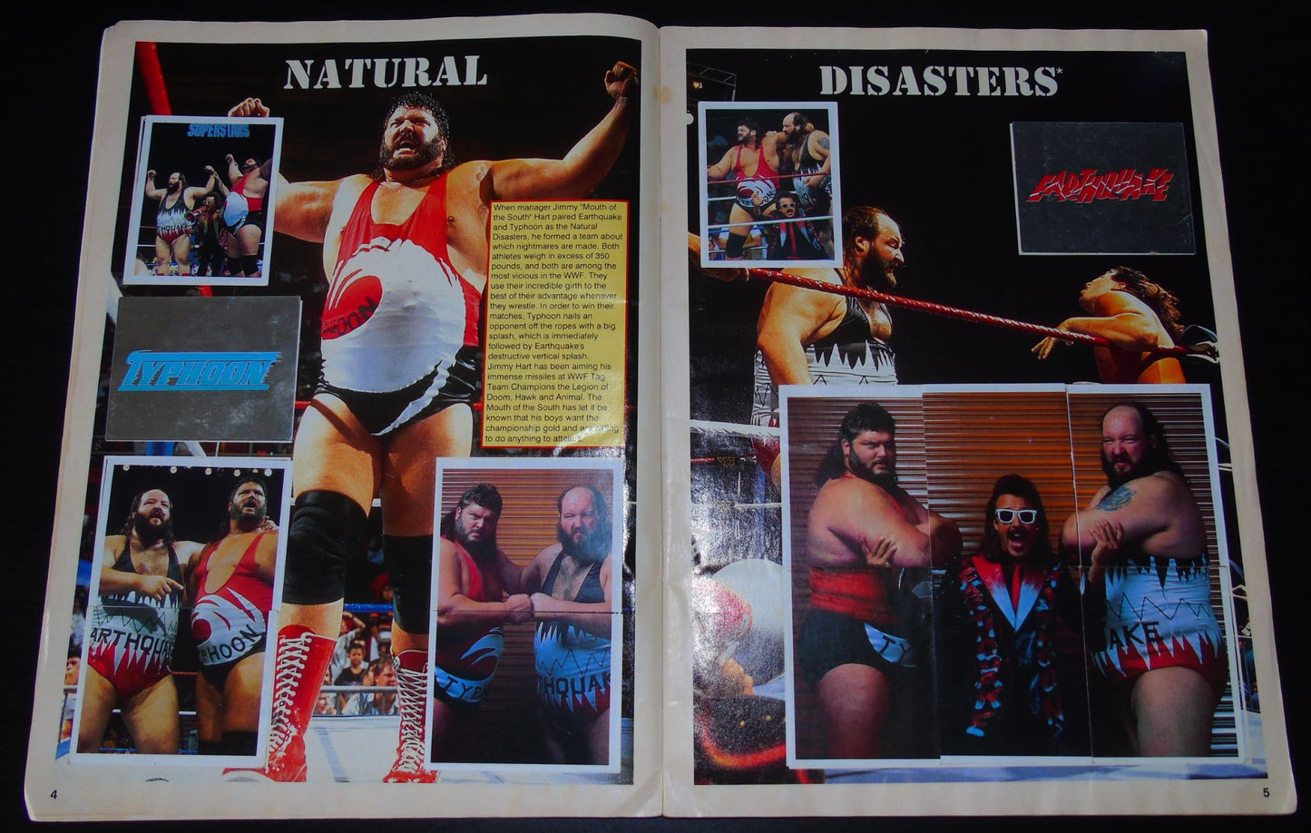 WWF Merlin Sticker Album 1991 Ccomplete