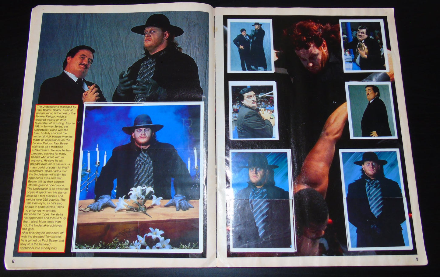 WWF Merlin Sticker Album 1991 Ccomplete