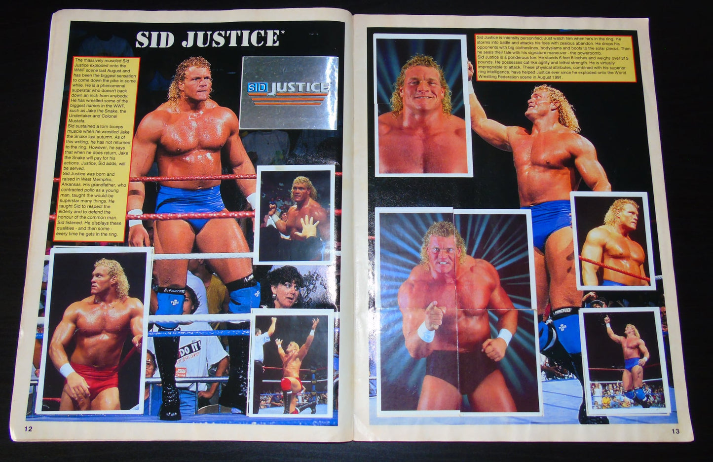 WWF Merlin Sticker Album 1991 Ccomplete
