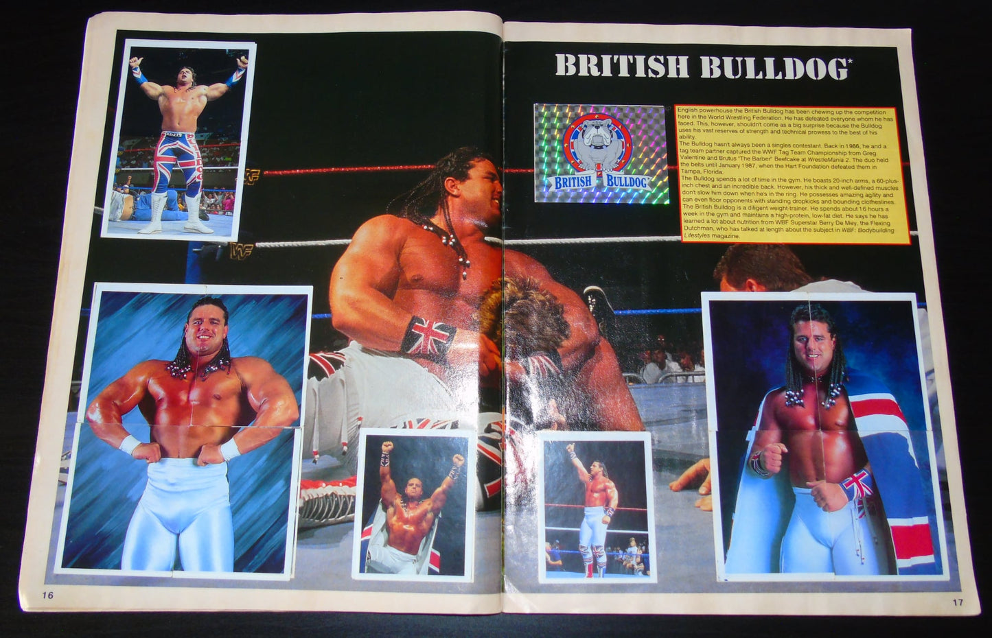 WWF Merlin Sticker Album 1991 Ccomplete
