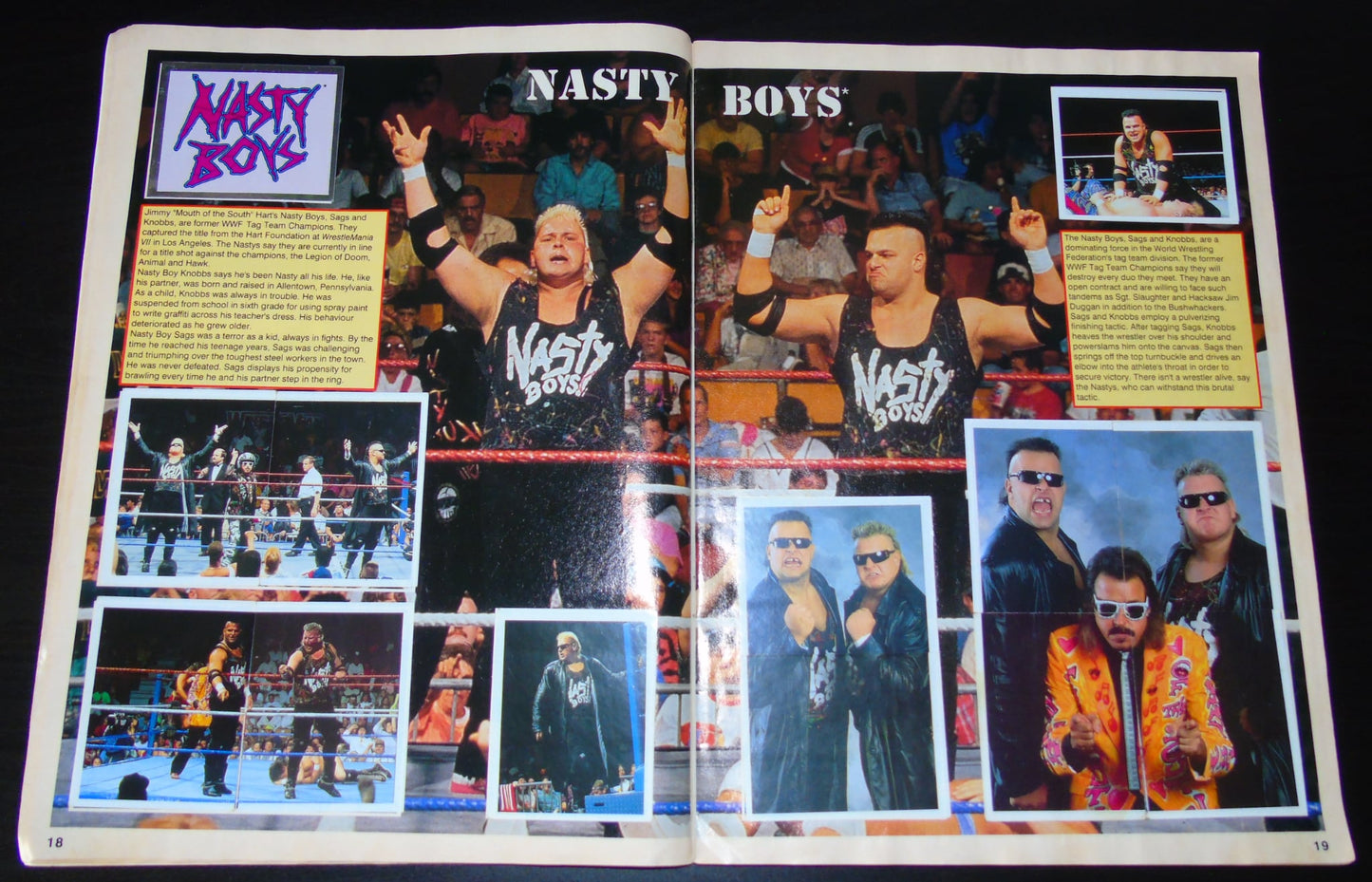 WWF Merlin Sticker Album 1991 Ccomplete