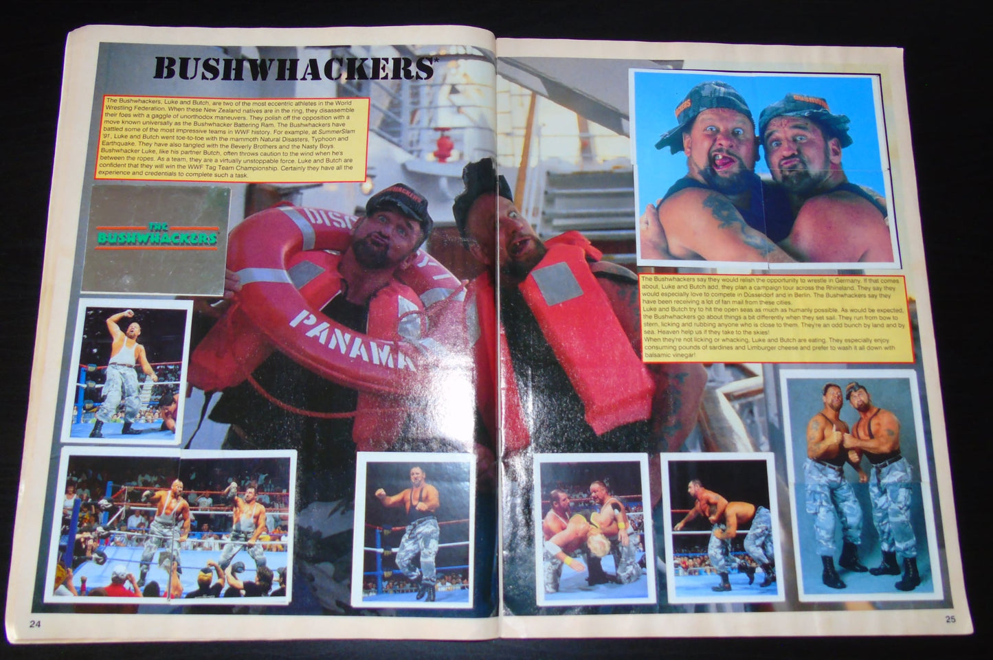WWF Merlin Sticker Album 1991 Ccomplete