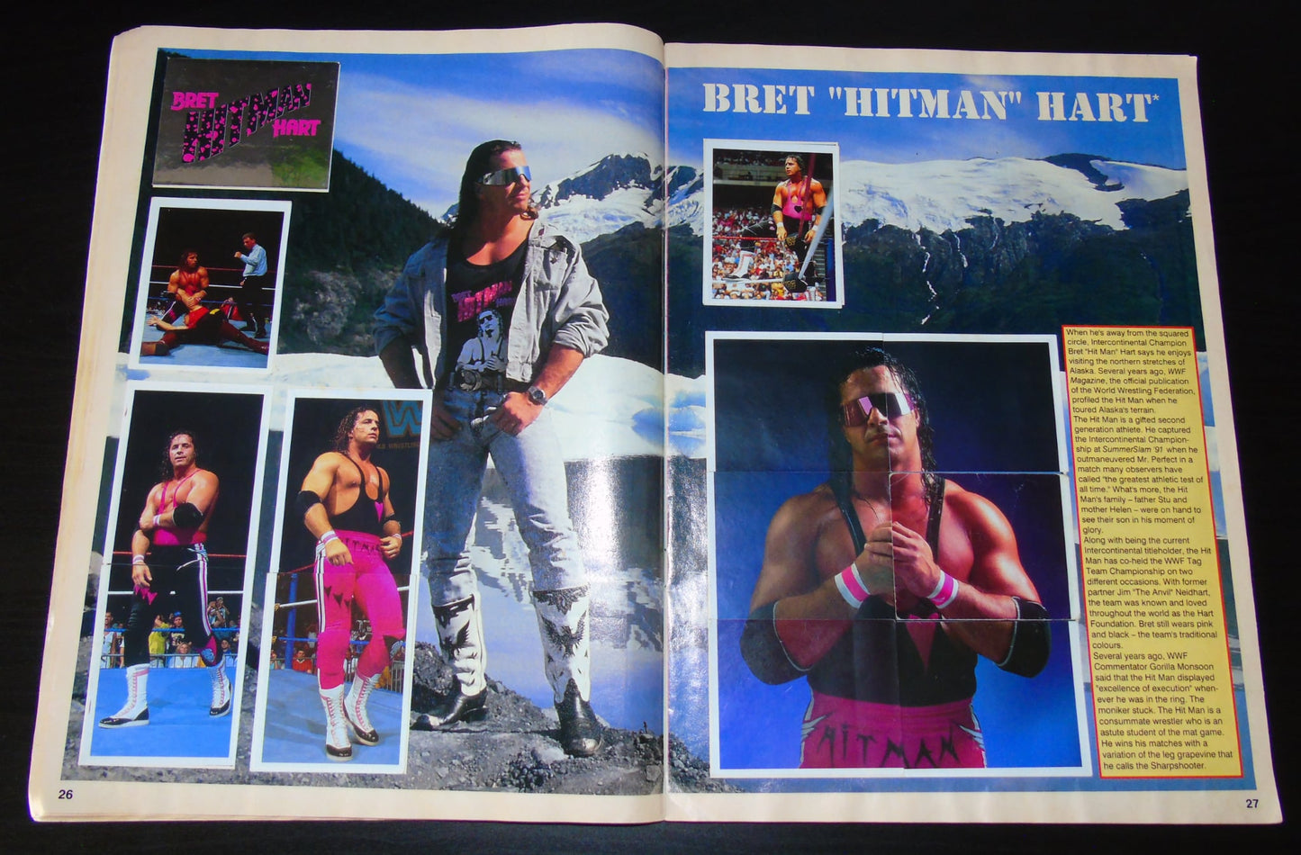 WWF Merlin Sticker Album 1991 Ccomplete