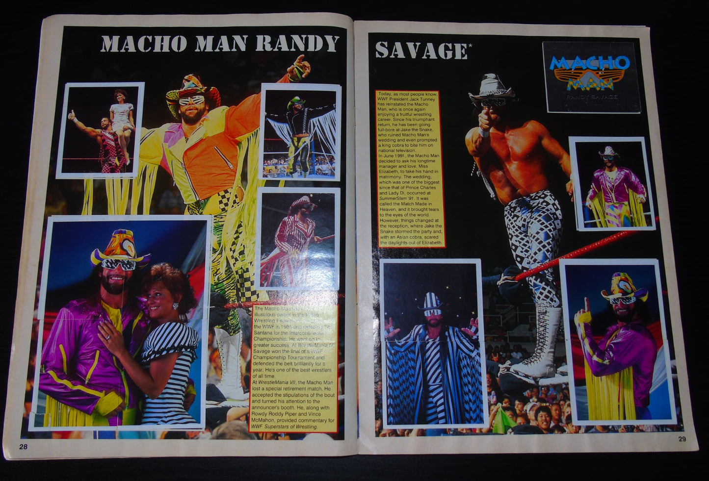 WWF Merlin Sticker Album 1991 Ccomplete