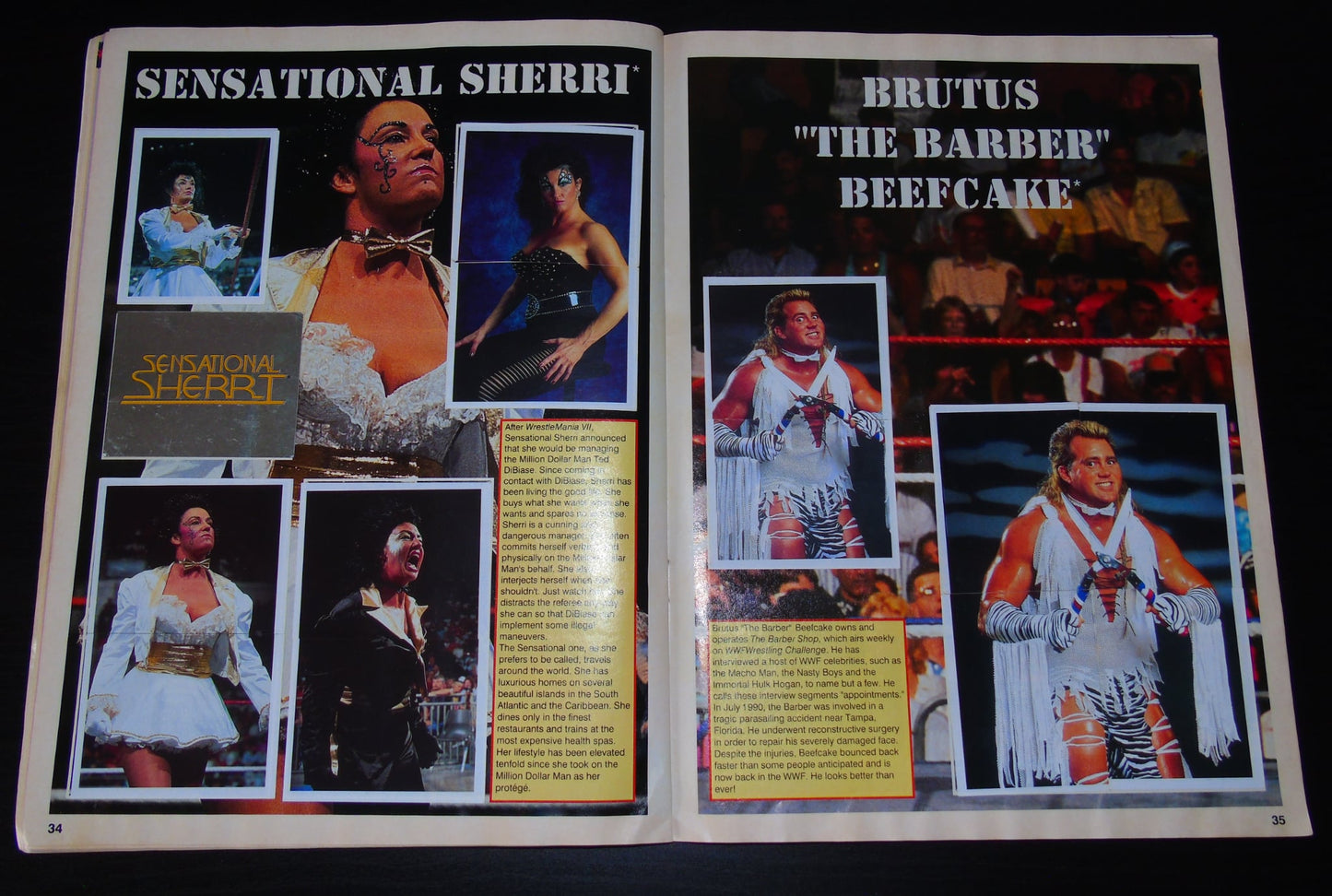 WWF Merlin Sticker Album 1991 Ccomplete