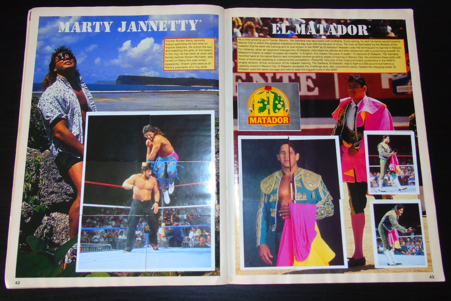 WWF Merlin Sticker Album 1991 Ccomplete