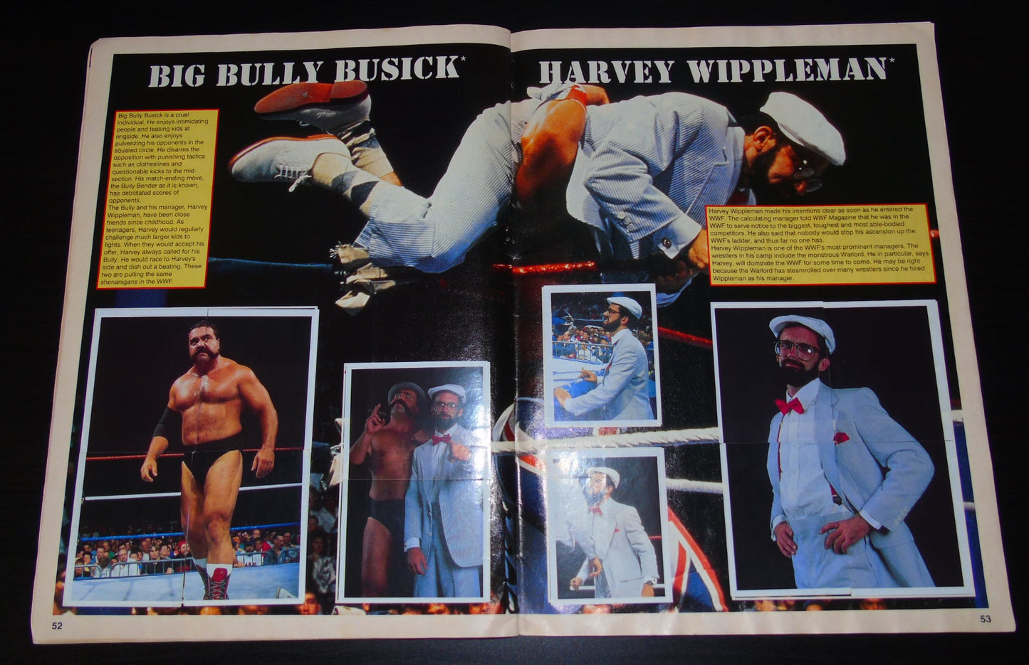 WWF Merlin Sticker Album 1991 Ccomplete