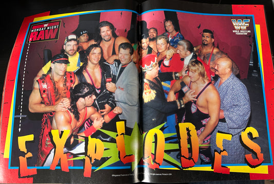 WWF Magazine December 1995