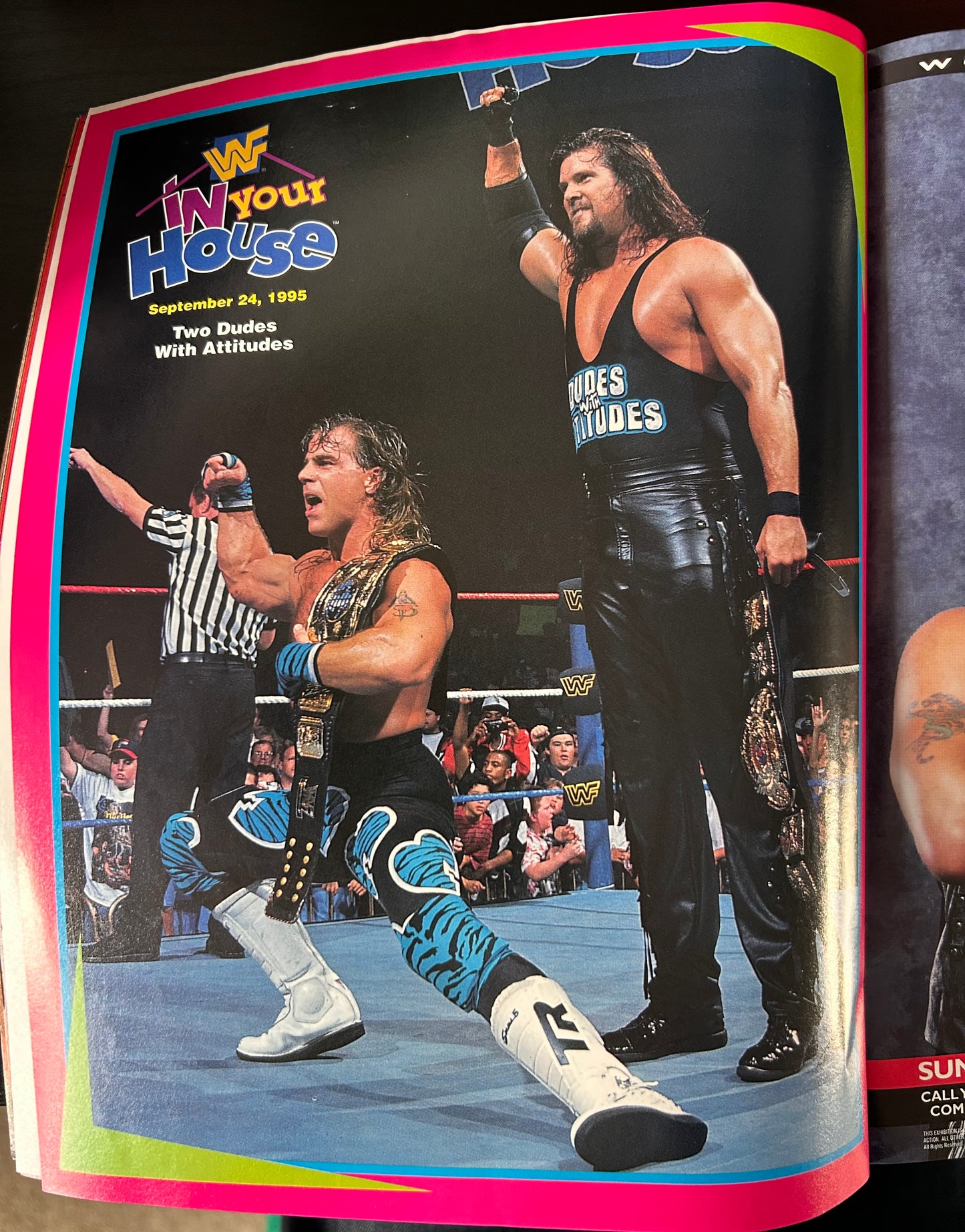 WWF Magazine December 1995