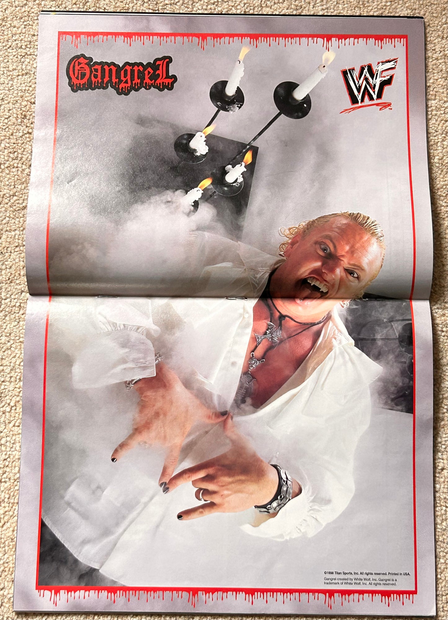 WWF Magazine January 1999