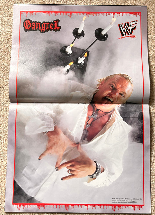 WWF Magazine January 1999