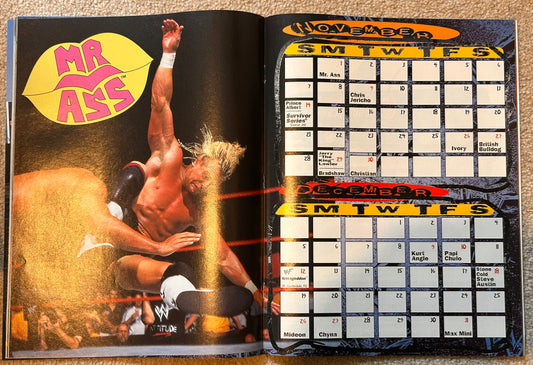 WWF Magazine December 1999