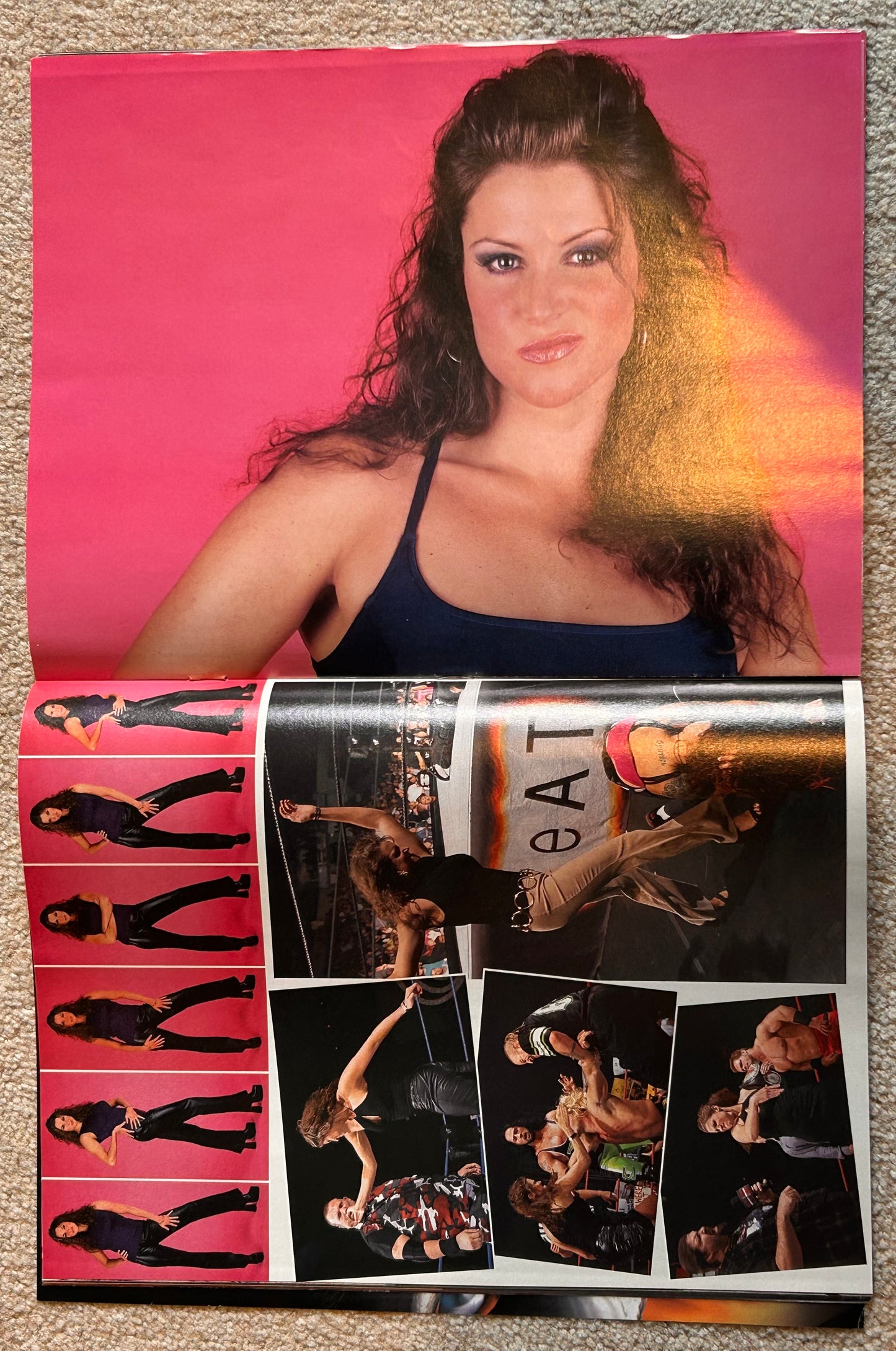 WWF Magazine November 2000