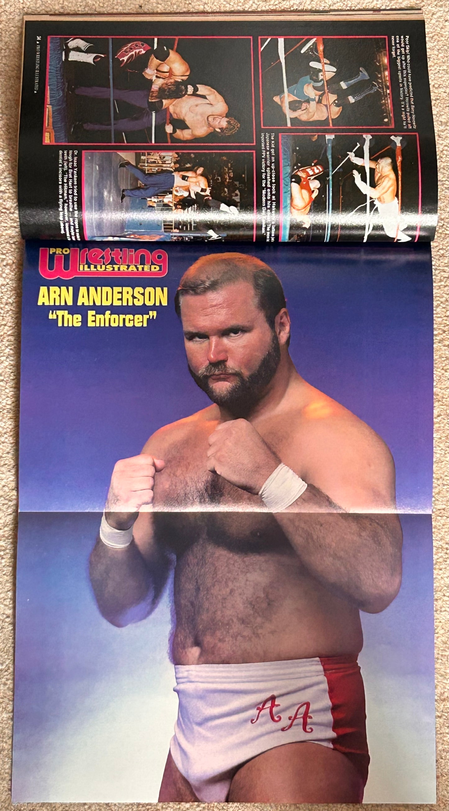 PWI Pro Wrestling Illustrated Magazine January 1996
