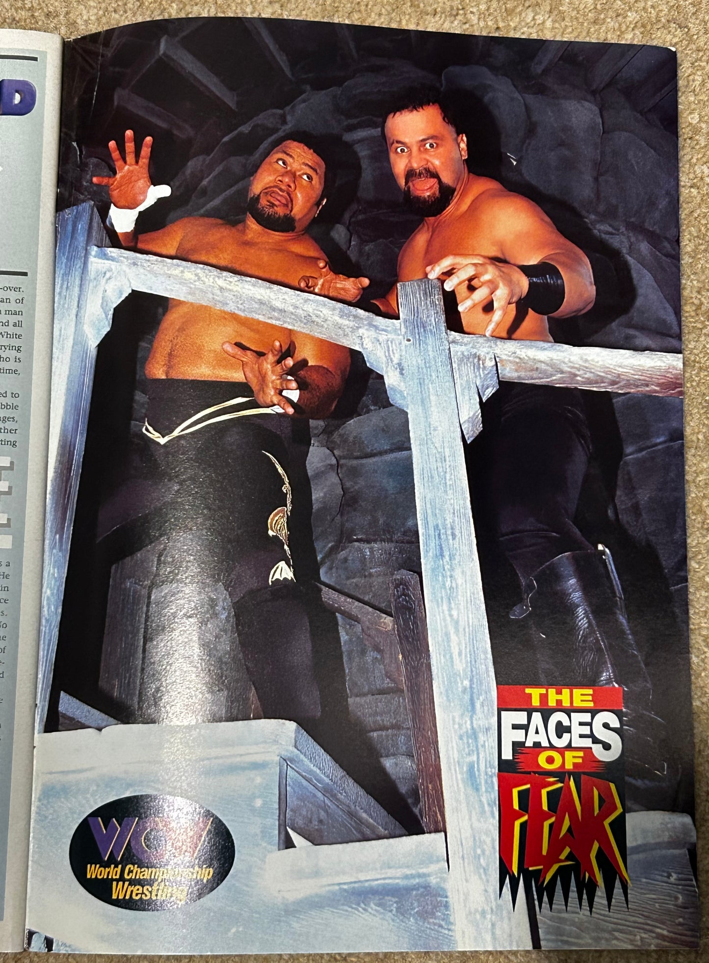 WCW Magazine June 1996 Issue 16