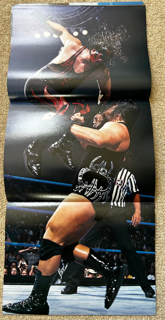 WWE Magazine November 2002
