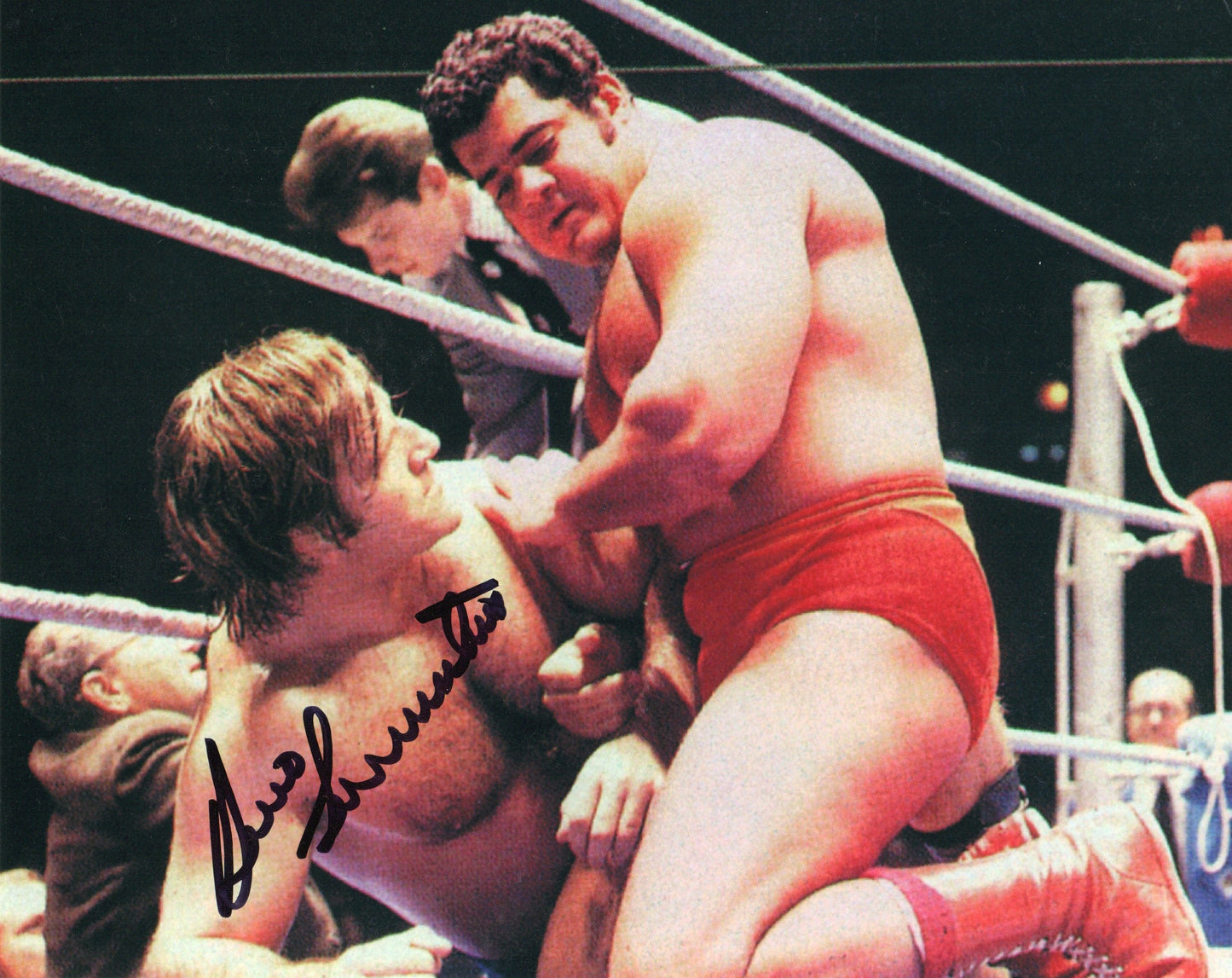 Bruno Sammartino WWF/WWE Signed Photo