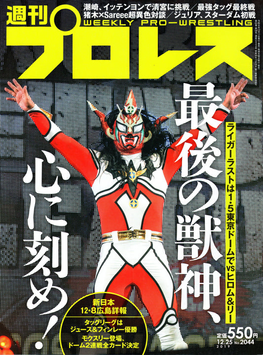 Japanese Professional Wrestling Magazine No.2044 2019