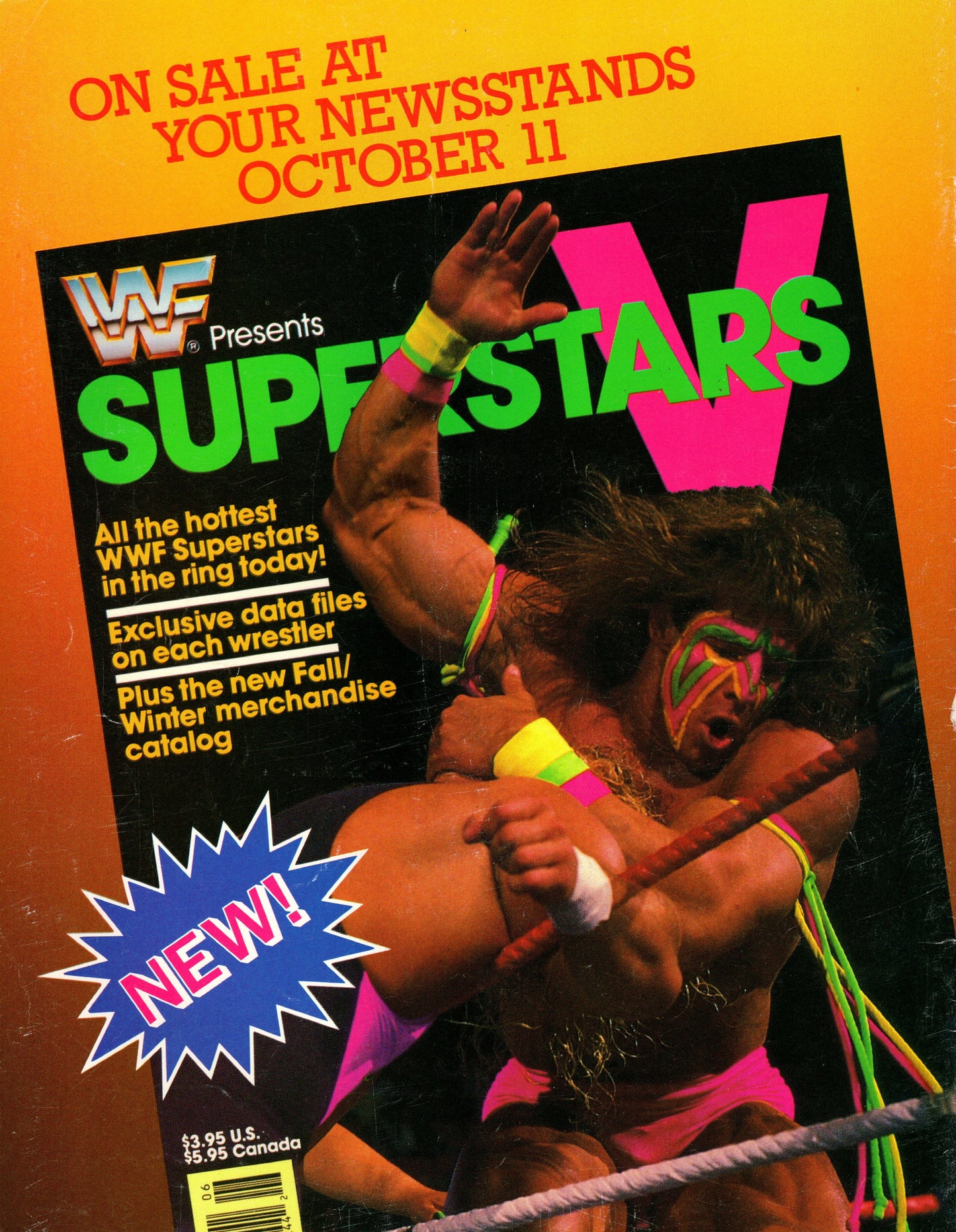 WWF The Rockers Wrestling Spotlight Magazine