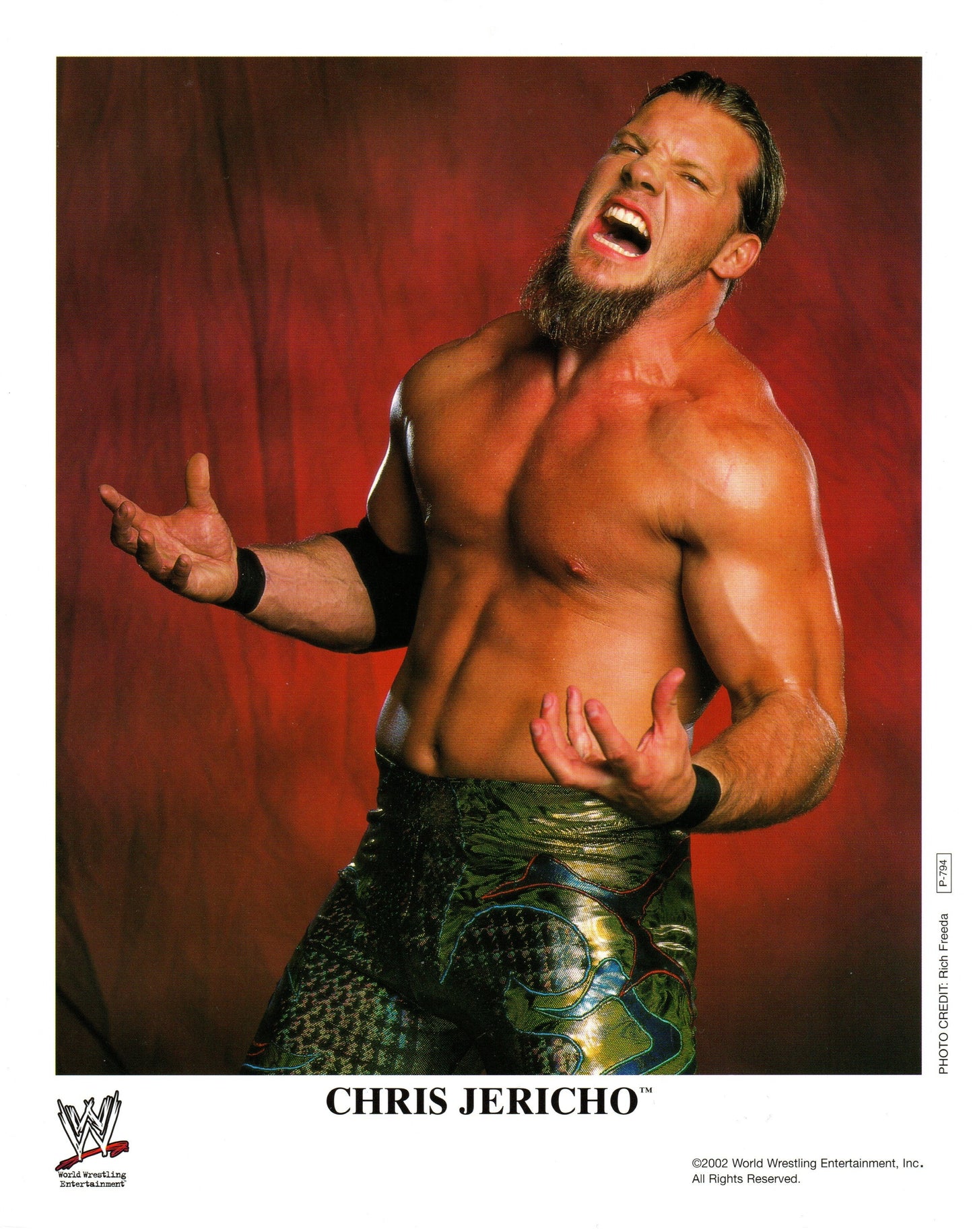 Chris Jericho WWE Wrestling Promo Photo P-794