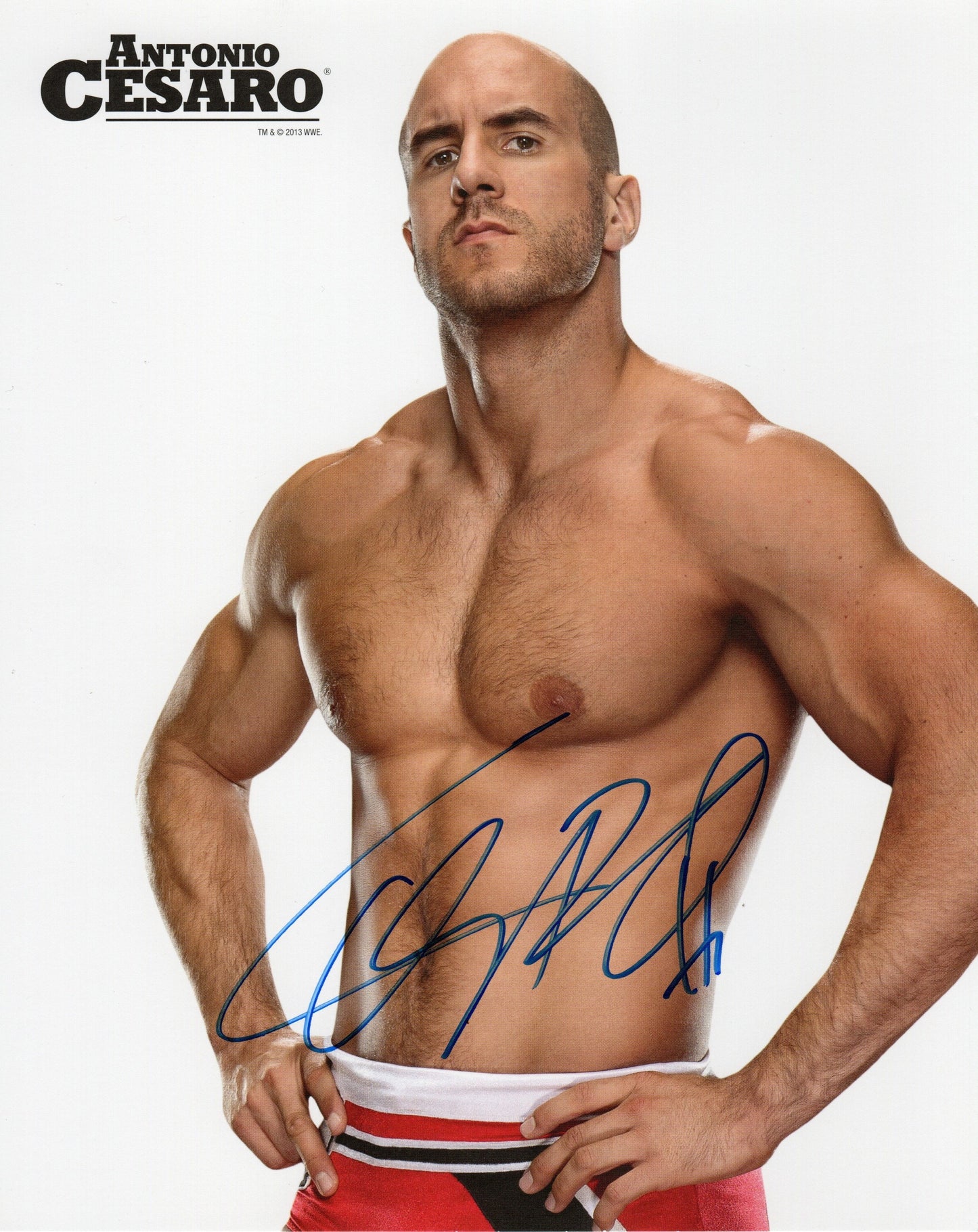 Antonio Cesaro WWE/WWF Signed Wrestlemania XXIX Fan Axxess Promo Photo