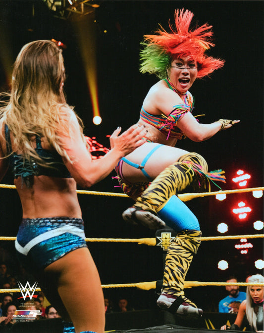 Asuka WWE Photofile 8x10" Photo