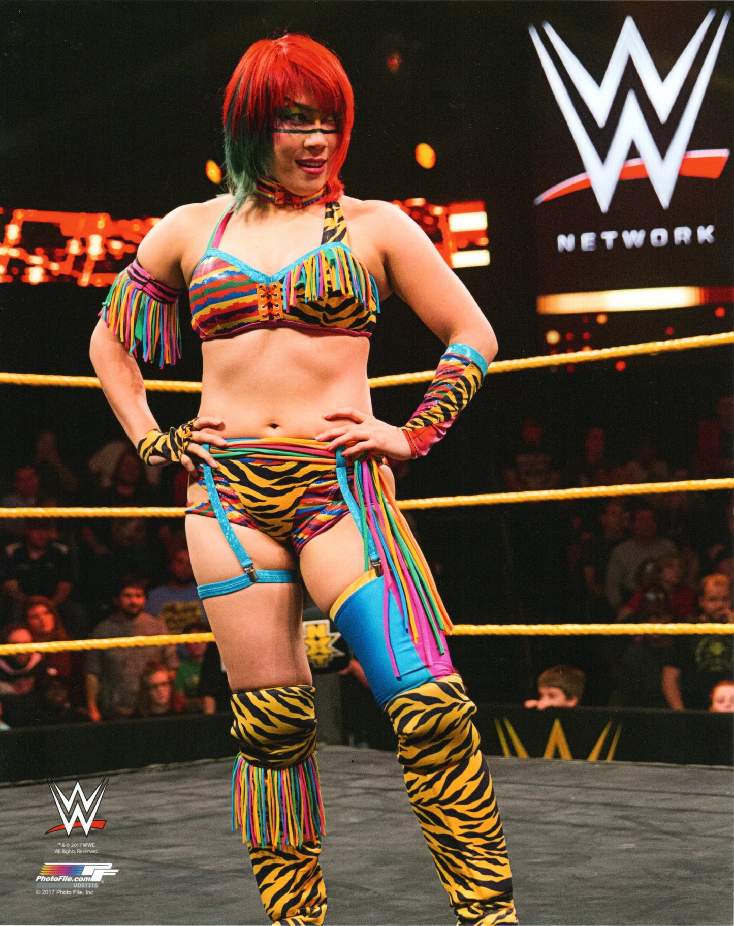 Asuka WWE Photofile 8x10" Photo