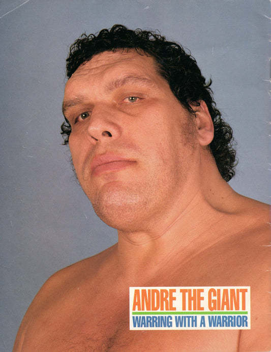 WWF World Wrestling Federation 1989 Magazine/Program #173