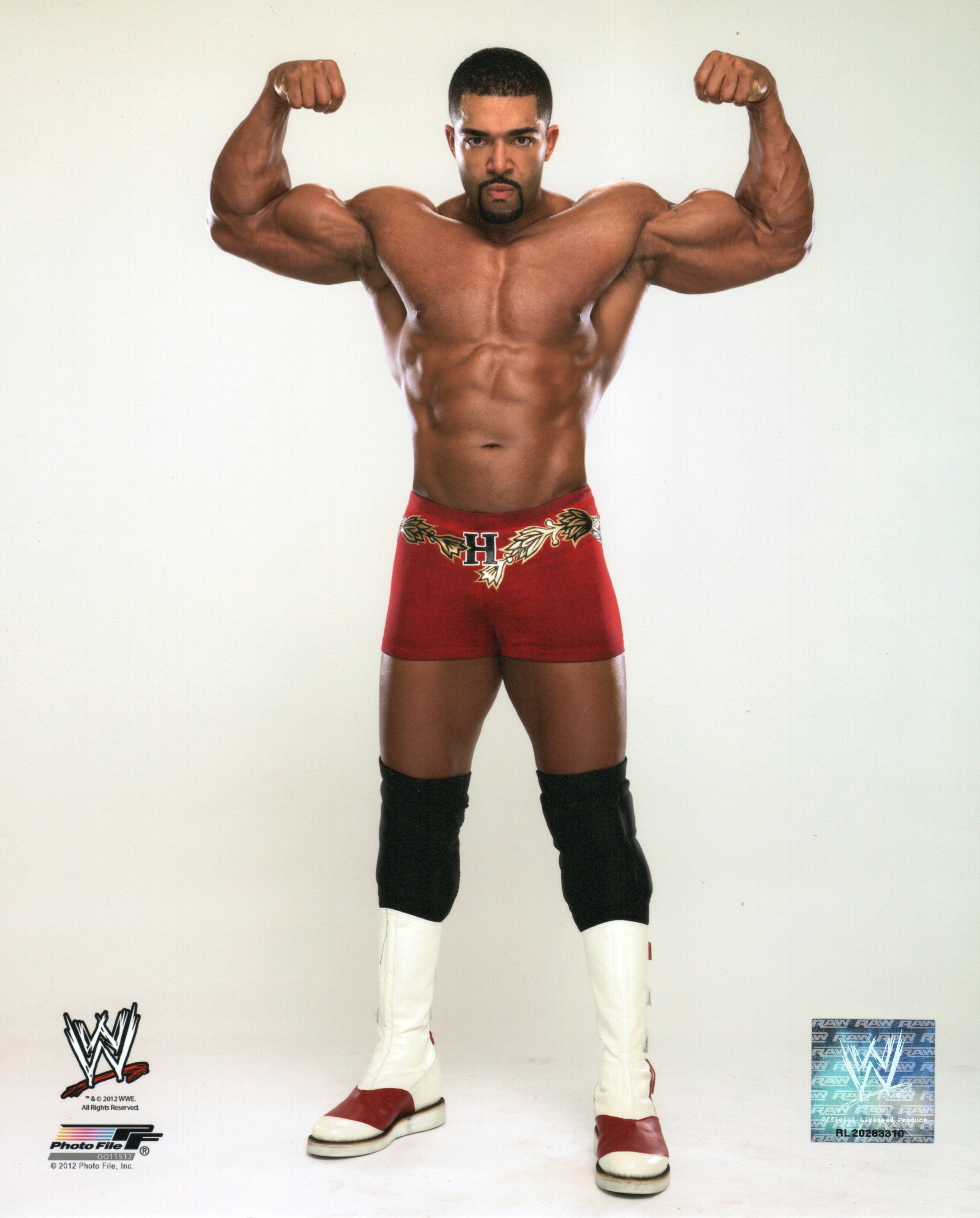 WWE David Otunga RAW Supershow Figurine - Série #25 WWE David Otunga RAW Supershow Figurine - Série #25