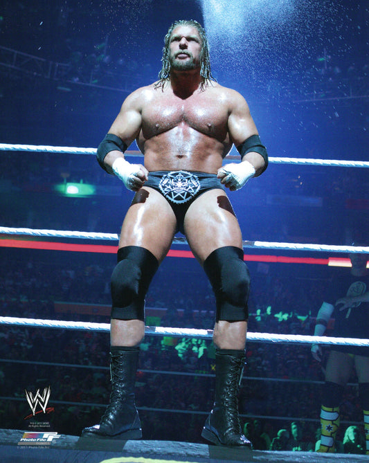 Triple H WWE Photofile 8x10" Photo
