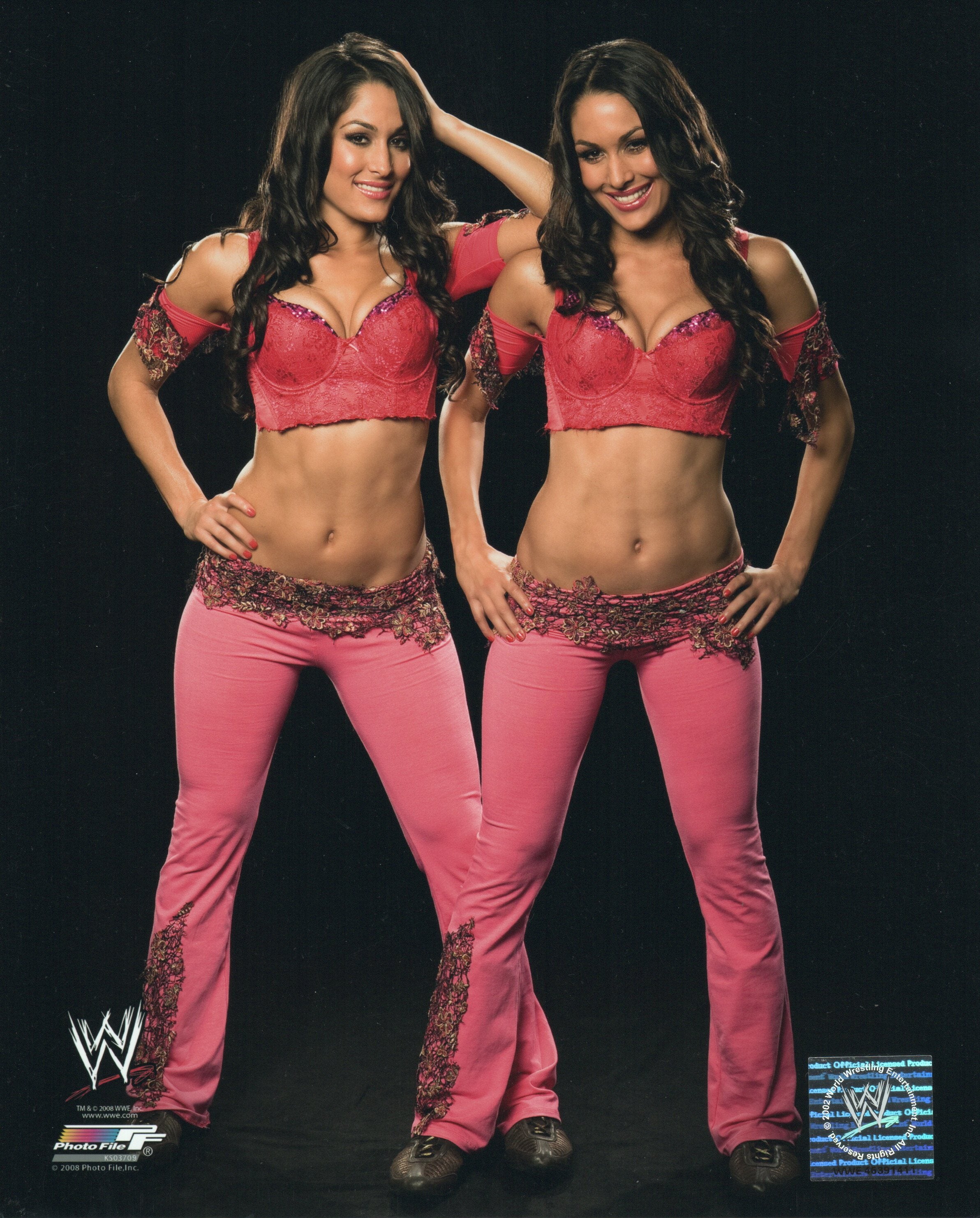 NIKKI & BRIE BELLA TWINS SIGNED 8X10 PHOTO WWE DIVA AUTOGRAPH