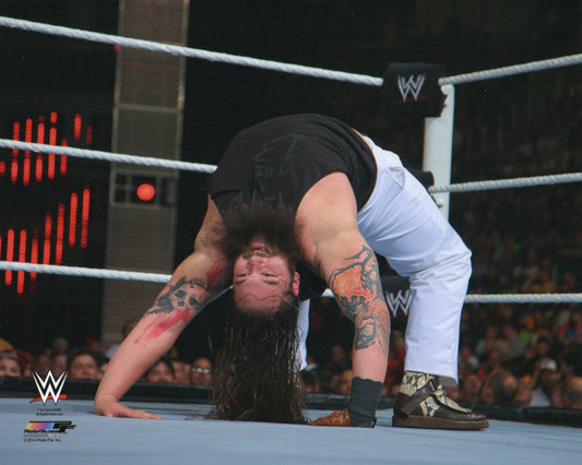 Bray Wyatt WWE Photofile 8x10" Photo