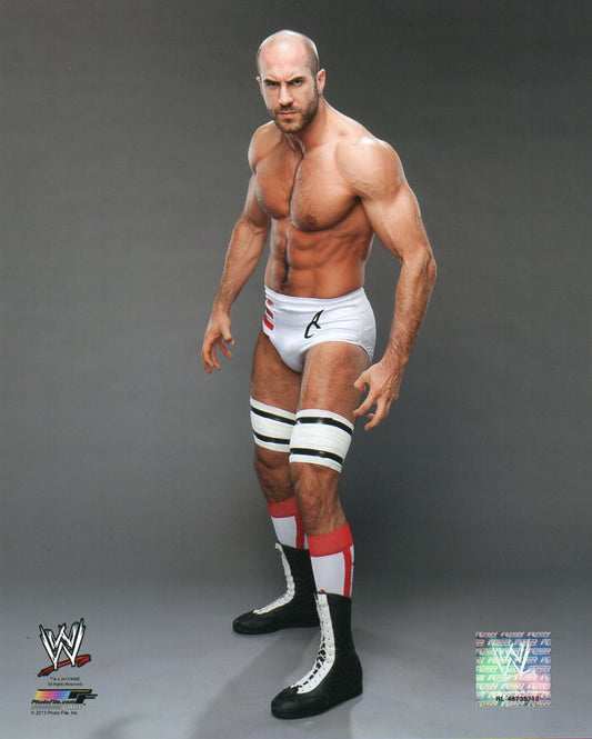 Cesaro Claudio Castagnoli WWE Photofile 8x10" Photo