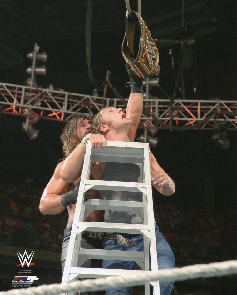 Seth Rollins WWE Photofile 8x10" Photo