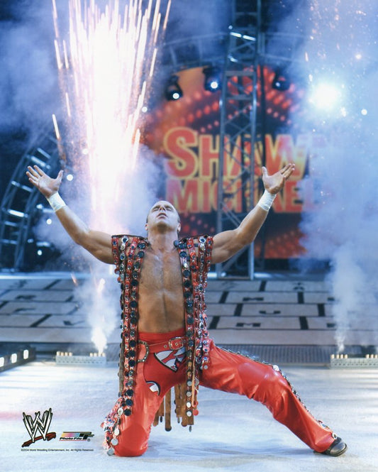 Shawn Michaels WWE Photofile 8x10" Photo