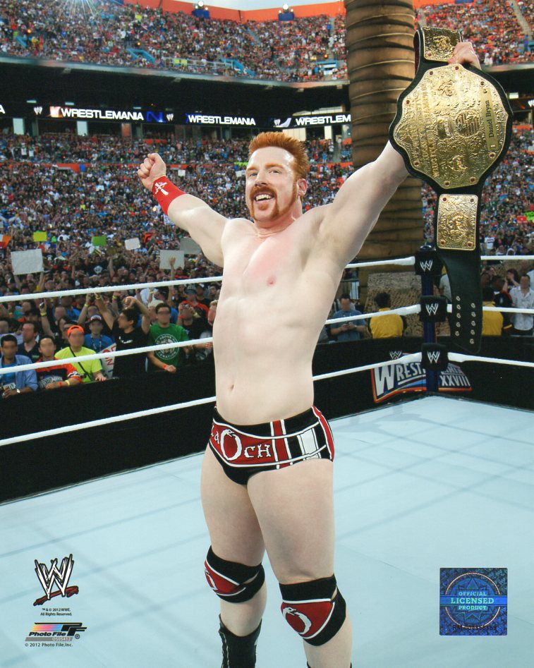 Sheamus WWE Photofile 8x10" Photo