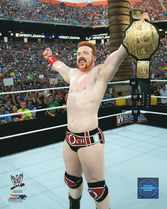 Sheamus WWE Photofile 8x10" Photo