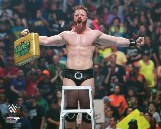 Sheamus WWE Photofile 8x10" Photo