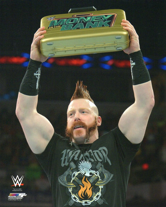 Sheamus WWE Photofile 8x10" Photo
